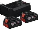 BOSCH Akku-Basis-Set