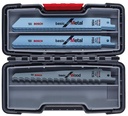 BOSCH Säbelsägeblatt-Set Wood and Metal Basic