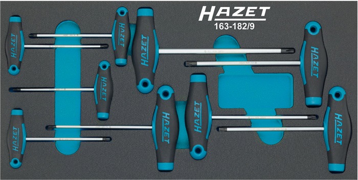 HAZET Werkzeugmodul 163-182/9