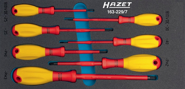 HAZET Werkzeugmodul 163-229/7