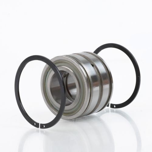 INA Zylinderrollenlager SL045007 -PP