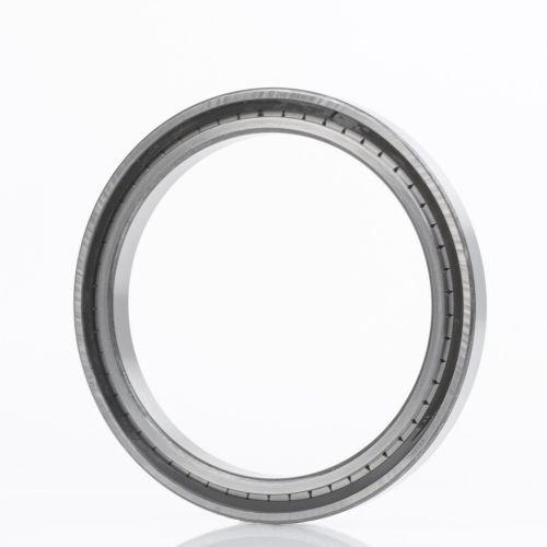 INA Zylinderrollenlager SL185020