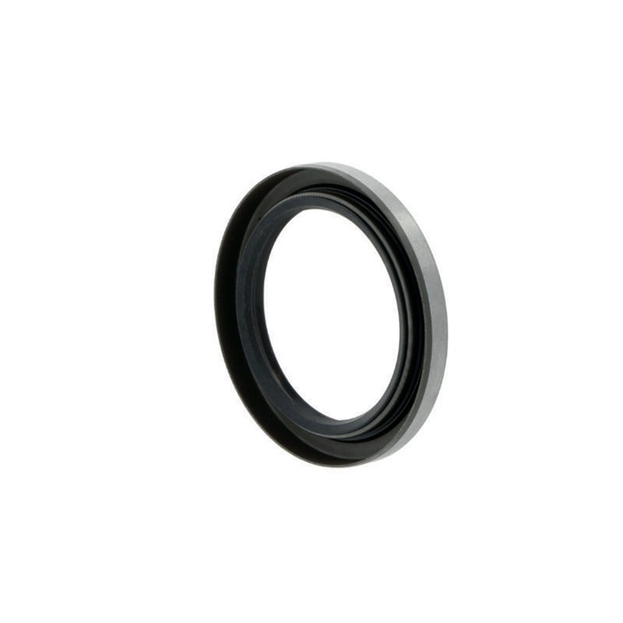 DICHTOMATIK Wellendichtring W145-170-13 B1SL