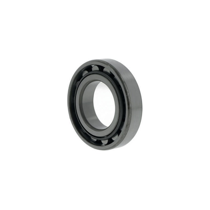 NACHI Zylinderrollenlager N209
