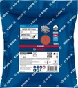 BOSCH Fiberscheibe EXPERT R782 Prisma Ceramic
