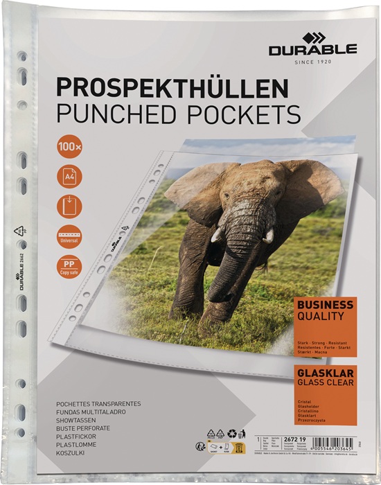 DURABLE Prospekthülle BUSINESS