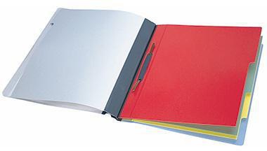DURABLE Organisationshefter DURABLE DIVISOFLEX® DIN A4 250 Bl. (80