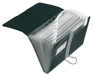 HERLITZ Fächermappe Herlitz easy orga to go DIN A4