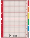 LEITZ Ordnerregister Leitz DIN A4 blanko Karton recycelt