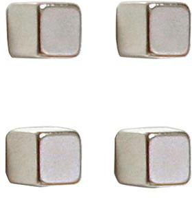 FRANKEN Magnet FRANKEN 10 x 10 x 10 mm (B x H x T) 3kg