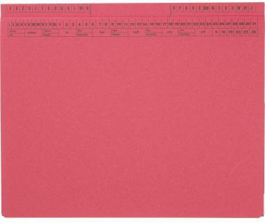 SOLDANPLUS Hängehefter SoldanPlus CLASSIC DIN A4 320g/m² Karton