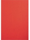 EXACOMPTA Einbanddeckel Exacompta EVERCOVER DIN A4 270g/m²