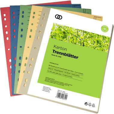 [9199148988] SOENNECKEN Trennblatt Soennecken oeco DIN A4 Recyclingkarton